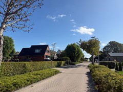 40 IMG_1751.jpeg